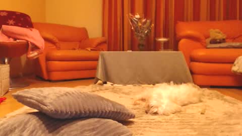 Snapshot of andrasweetie chatting on 13, 12, 2025 Andra online show from 13, 12, 2025