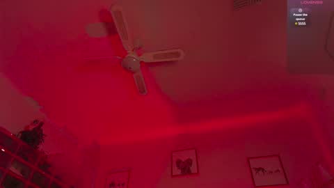 Andre Cole online show from 10, 2, 2025