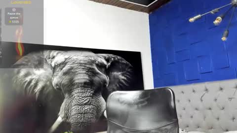 insta andres clark  online show from 25, 3, 2026