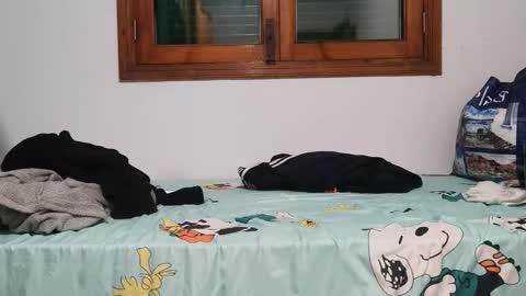 Andreu online show from 1, 12, 2024