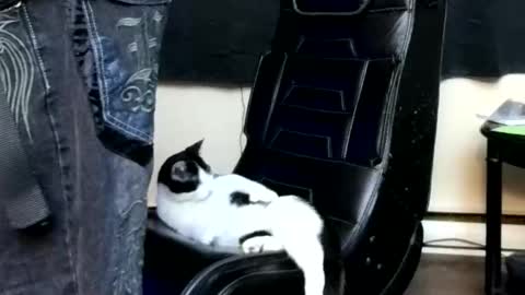 andybadass online show from 11, 4, 2026