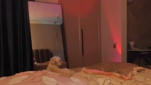 Snapshot of angel_andreww chatting on 27, 5, 2026 angel_andreww online show from 27, 5, 2026
