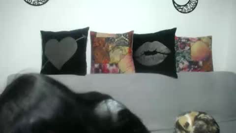  Angela  online show from 7, 3, 2025