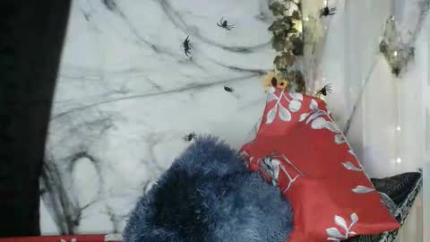 Snapshot of angelainparis28 chatting on 13, 10, 2025 ANGELA online show from 13, 10, 2025