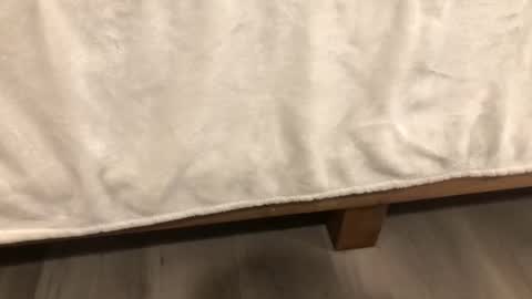 Snapshot of angeleliza0113 chatting on 14, 2, 2026 Mira13 online show from 14, 2, 2026