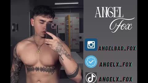 Snapshot of angelx_fox chatting on 5, 12, 2025 Angel Fox online show from 5, 12, 2025