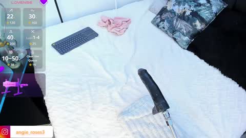 angiee roses online show from 14, 12, 2024