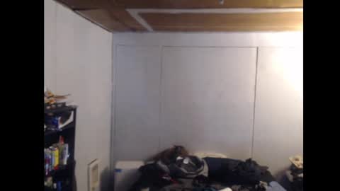 Ani online show from 25, 2, 2025