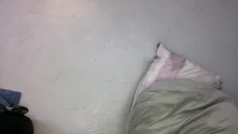 Animeboygirls online show from 6, 11, 2025