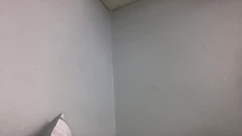 Animeboygirls online show from 23, 12, 2025