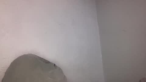 Animeboygirls online show from 28, 2, 2026