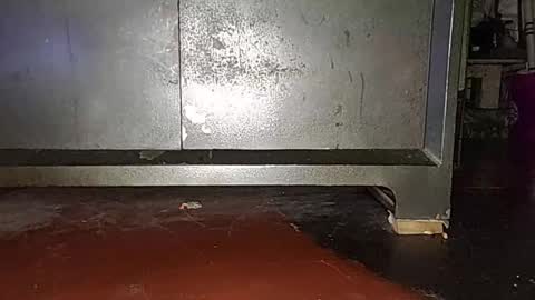 anis4551 online show from 16, 3, 2026