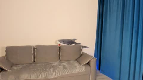 Snapshot of anna_miuu chatting on 5, 12, 2024 anna miuu online show from 5, 12, 2024