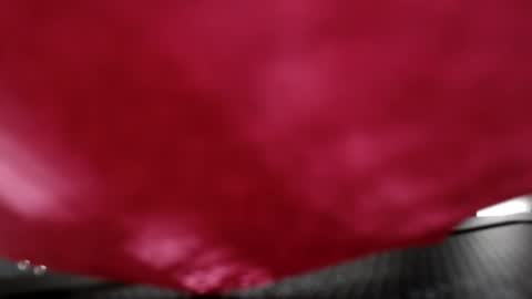 Snapshot of annaevodees666 chatting on 8, 12, 2024 Anna Evodees online show from 8, 12, 2024