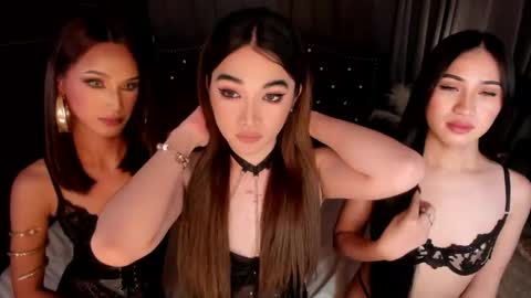 Snapshot of annalolaxoxo chatting on 11, 5, 2026 AshyElliston online show from 11, 5, 2026