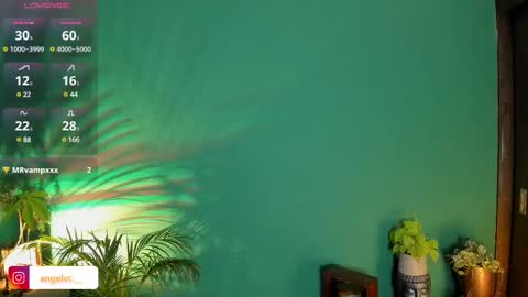 ANG  online show from 11, 2, 2025