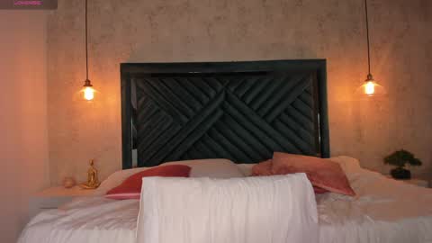 Ann  online show from 16, 12, 2024