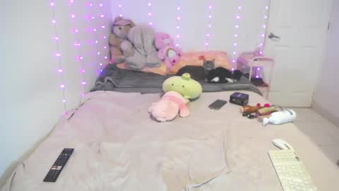  INDEPENDENT MODEL next srteam 240624 online show from 5, 1, 2026