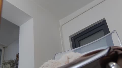 Snapshot of annyarose chatting on 2, 12, 2024 Anna online show from 2, 12, 2024