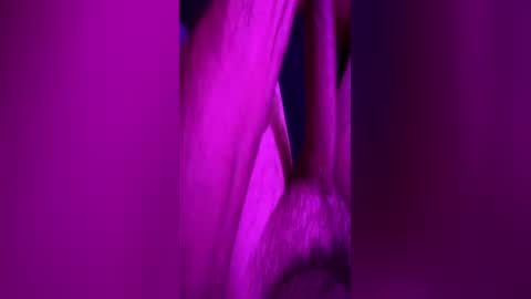 anonymous82389 online show from 11, 6, 2026
