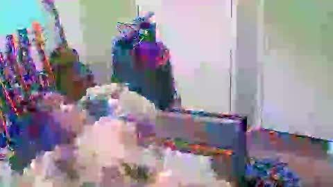 anssyboy696 online show from 11, 10, 2025