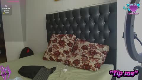 Snapshot of antonellaandnoah chatting on 24, 12, 2024 AntonellaAndNoah online show from 24, 12, 2024