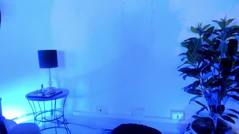 Antonia online show from 9, 12, 2024