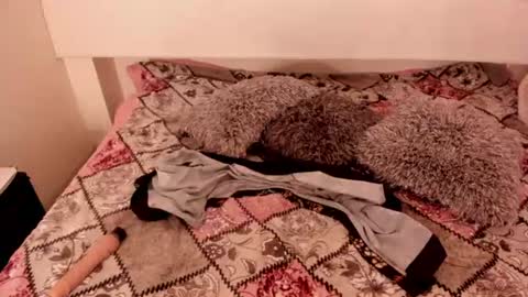 Snapshot of antoniasalas chatting on 14, 6, 2026 antoniasalas online show from 14, 6, 2026