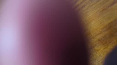 Snapshot of apollodarkmn chatting on 24, 7, 2026 apollodarkmn online show from 24, 7, 2026