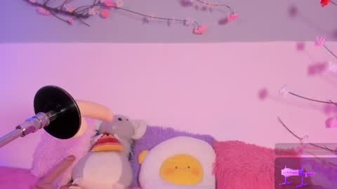Lily online show from 7, 8, 2026