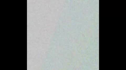 april_dsp online show from 8, 3, 2025