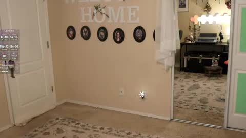 Archancel online show from 8, 3, 2025