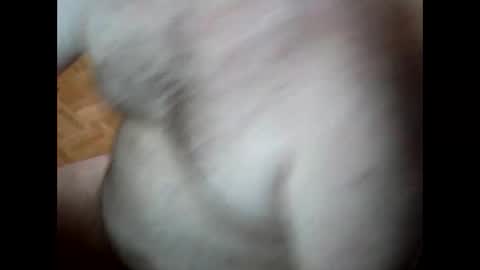 ardnov online show from 5, 11, 2025