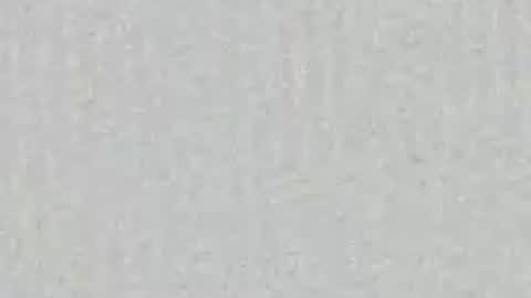 Ari online show from 6, 6, 2026