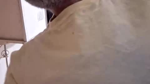 Snapshot of arielferdman chatting on 28, 10, 2025 arielferdman online show from 28, 10, 2025