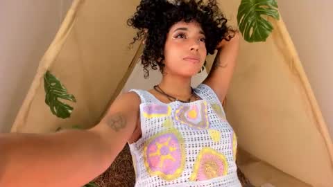 A R I   online show from 6, 11, 2025