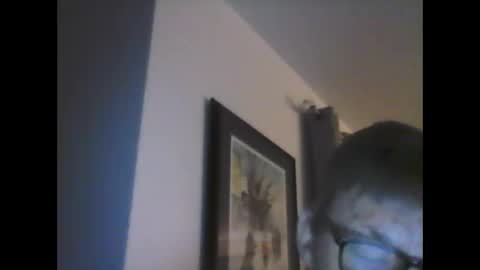 Snapshot of ariens chatting on 14, 1, 2025 ariens online show from 14, 1, 2025