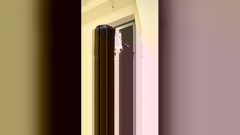 Snapshot of arilavish chatting on 11, 4, 2026 arilavish online show from 11, 4, 2026