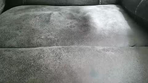 armalite16 online show from 21, 9, 2025