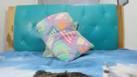 Snapshot of armanidark chatting on 15, 9, 2025 armanidark online show from 15, 9, 2025