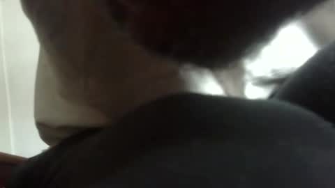 Arteblazze not daddy boy bitch or nigga online show from 9, 2, 2026