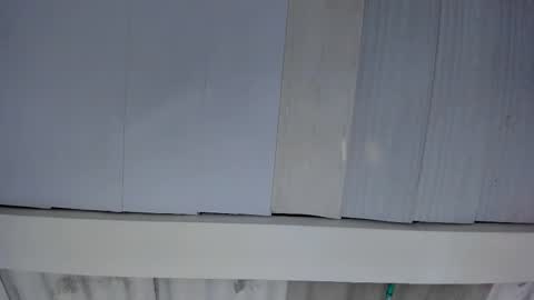 FENIX online show from 19, 10, 2025