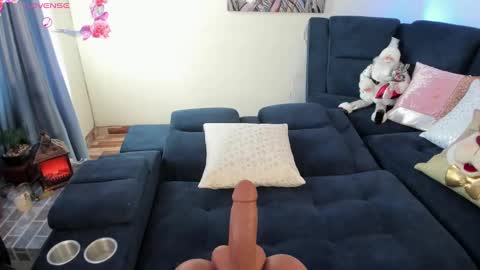 Snapshot of arwenstar11 chatting on 20, 12, 2024 hellen online show from 20, 12, 2024