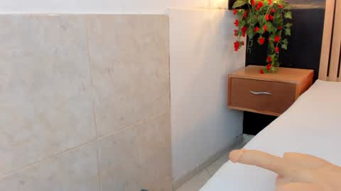 Snapshot of arya_nahalii chatting on 29, 12, 2024 Ana online show from 29, 12, 2024