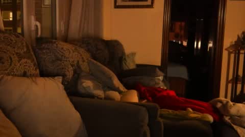 Snapshot of ascbi chatting on 15, 1, 2025 Troy online show from 15, 1, 2025