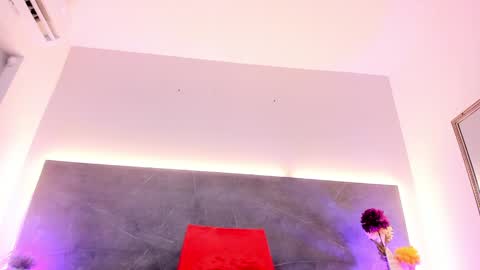 Snapshot of ashleydavis_ chatting on 25, 1, 2025 ASHLEY online show from 25, 1, 2025