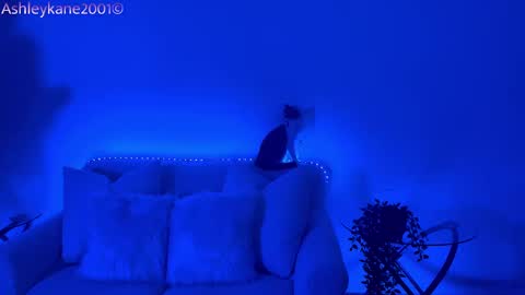Snapshot of ashleykane2001 chatting on 20, 1, 2025 Ashley online show from 20, 1, 2025