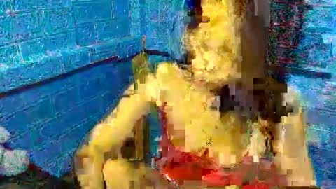 asian_decy online show from 27, 3, 2026