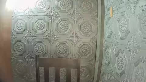 asian_nova online show from 12, 1, 2026