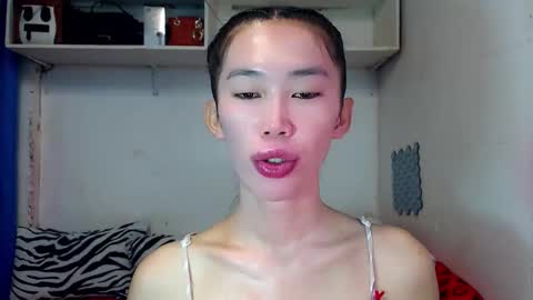 J A D E online show from 11, 11, 2025